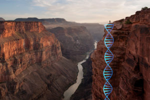 Ethical issues in Genetics Research Pediatric Ethicscope: the Journal of Pediatric Bioethics and Pediatric Ethics issues in genetics research